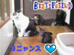 902913d6jpeg