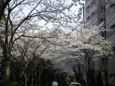 Image784.jpg