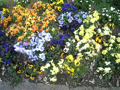 Image788.jpg