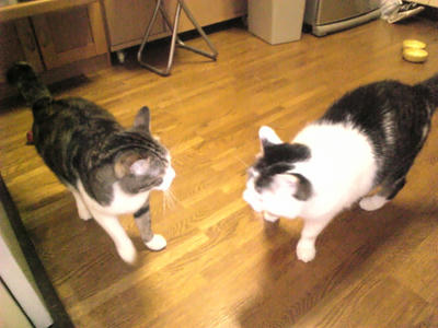 Image789.jpg