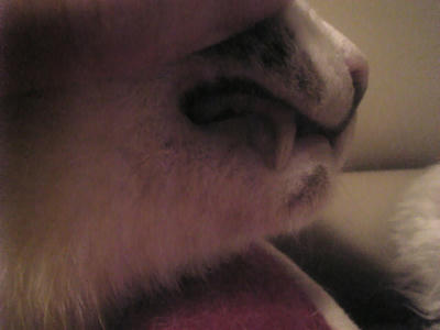 Image803.jpg
