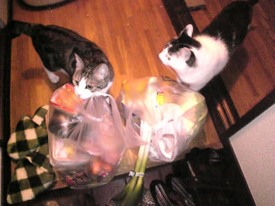 Image794.jpg