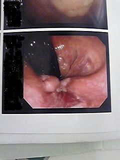 p3.JPG