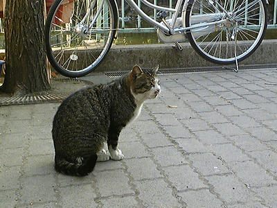 Image1019.jpg