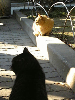Image1020.jpg