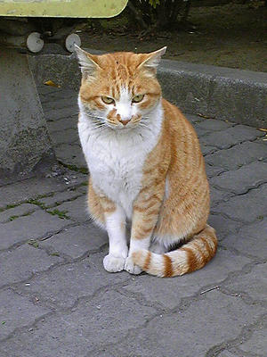 Image1022.jpg