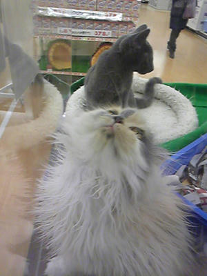 Image1031.jpg