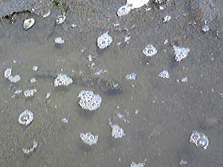 Image1057.jpg