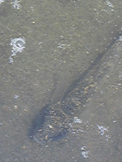 Image1058.jpg
