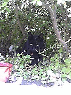 Image1063.jpg