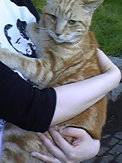 Image1074.jpg