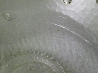 Image1130.jpg