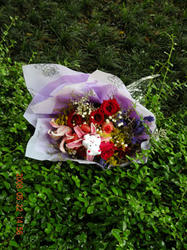 DSCN0518.jpg
