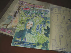 1067.jpg