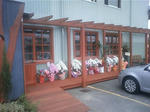 2011.11.11-802.JPG
