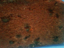 2012.01.09-104.JPG