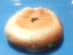 2012.03.22-301.JPG