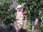 DSCF0064.jpg