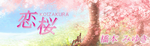 恋桜