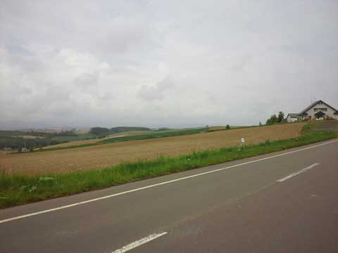 美瑛の丘風景