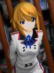 02.jpg
