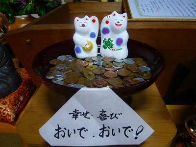 P1010566.jpg