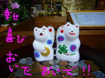 P1010564.jpg