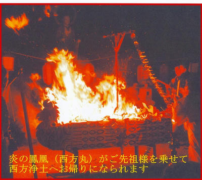a9ae111e.jpg