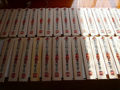 P1030063.jpg
