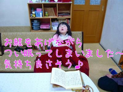 sYJrW72n.jpg