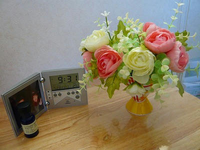P1050504.jpg