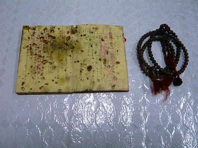 P1050237.jpg