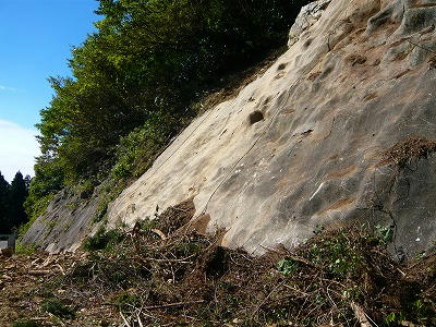 P1050828.jpg