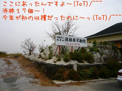 Jtbon.jpg