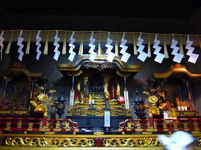 P1000797.jpg