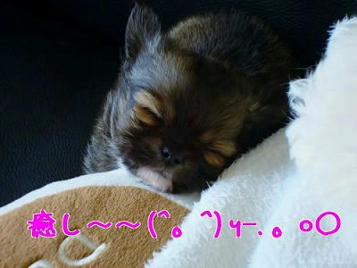 sqyX1iR6wvtbu1W-1.jpg