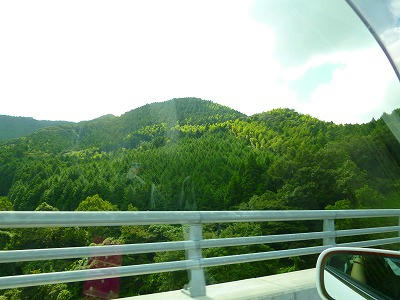 P1010727.jpg
