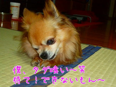 img_1239872_40710828_6.jpg