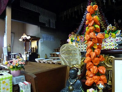 P1020807.jpg