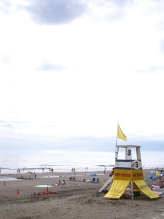 IMG_4781.JPG