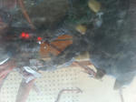 6b2a402fjpeg