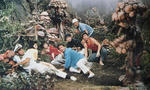 imge26116c5zikazj.jpg