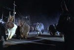 600full-night-of-the-lepus-screenshot.jpg