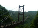 788a79d2.jpg