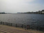 8a0f604b.jpg