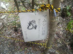 ec0263e9.jpg