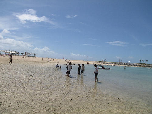 Ryupc2011Natsu016.jpg