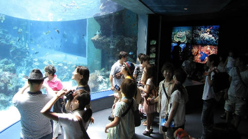 Ryupc2011Natsu014.jpg