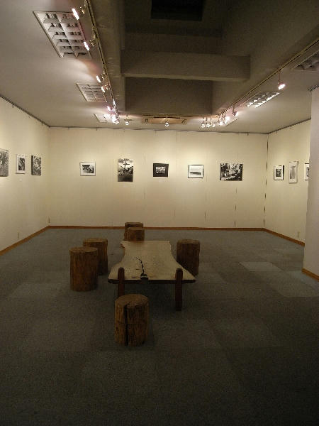 f67681ee.jpg