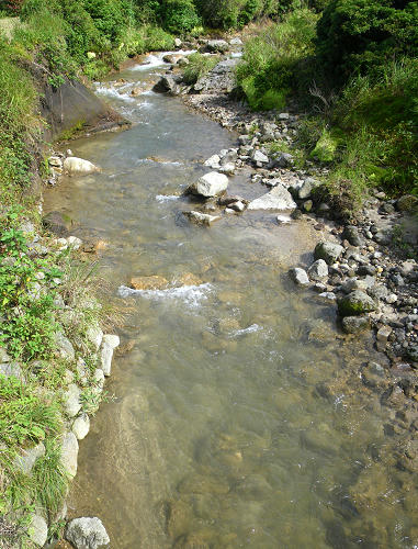 IMGP4716as.jpg